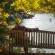 pexels-skyler-ewing-266953-9898885 pexels-skyler-ewing-266953-9898885